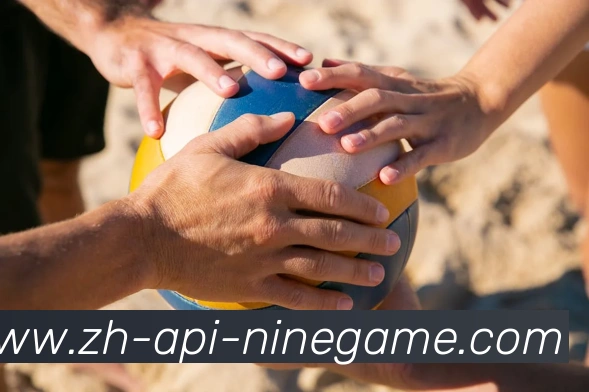 J9九游APP 封面图